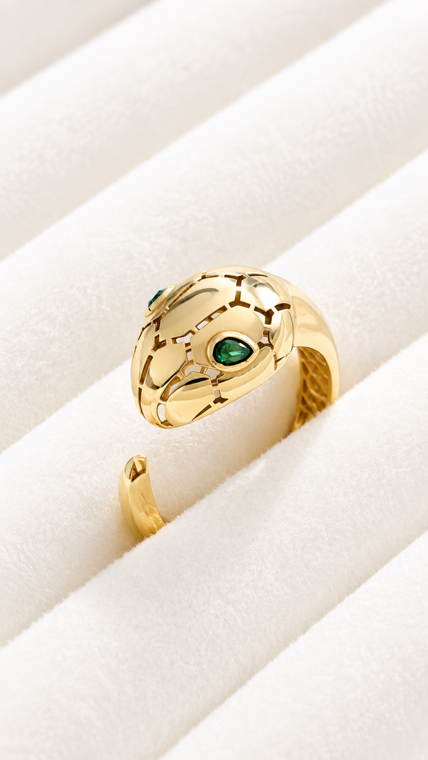 Anillos