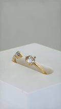 Anillo 14k