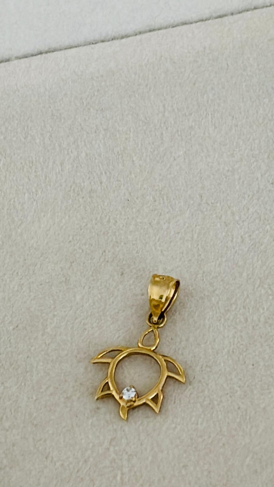 Dije de turtuga 14k