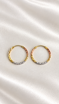 Argollas 3 oros de 10k