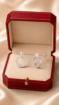 Aretes de plata