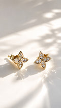 Aretes 10k