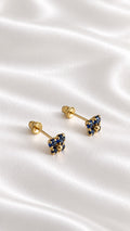 Aretes de 14k